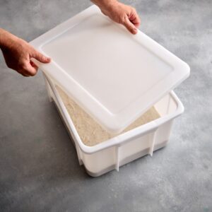 21-Litre Deep Dough Field with Non-compulsory Lid